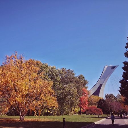 Homa Homestay Hotel By Olympic Stadium Montreal Auberge-Hostel Exteriör bild