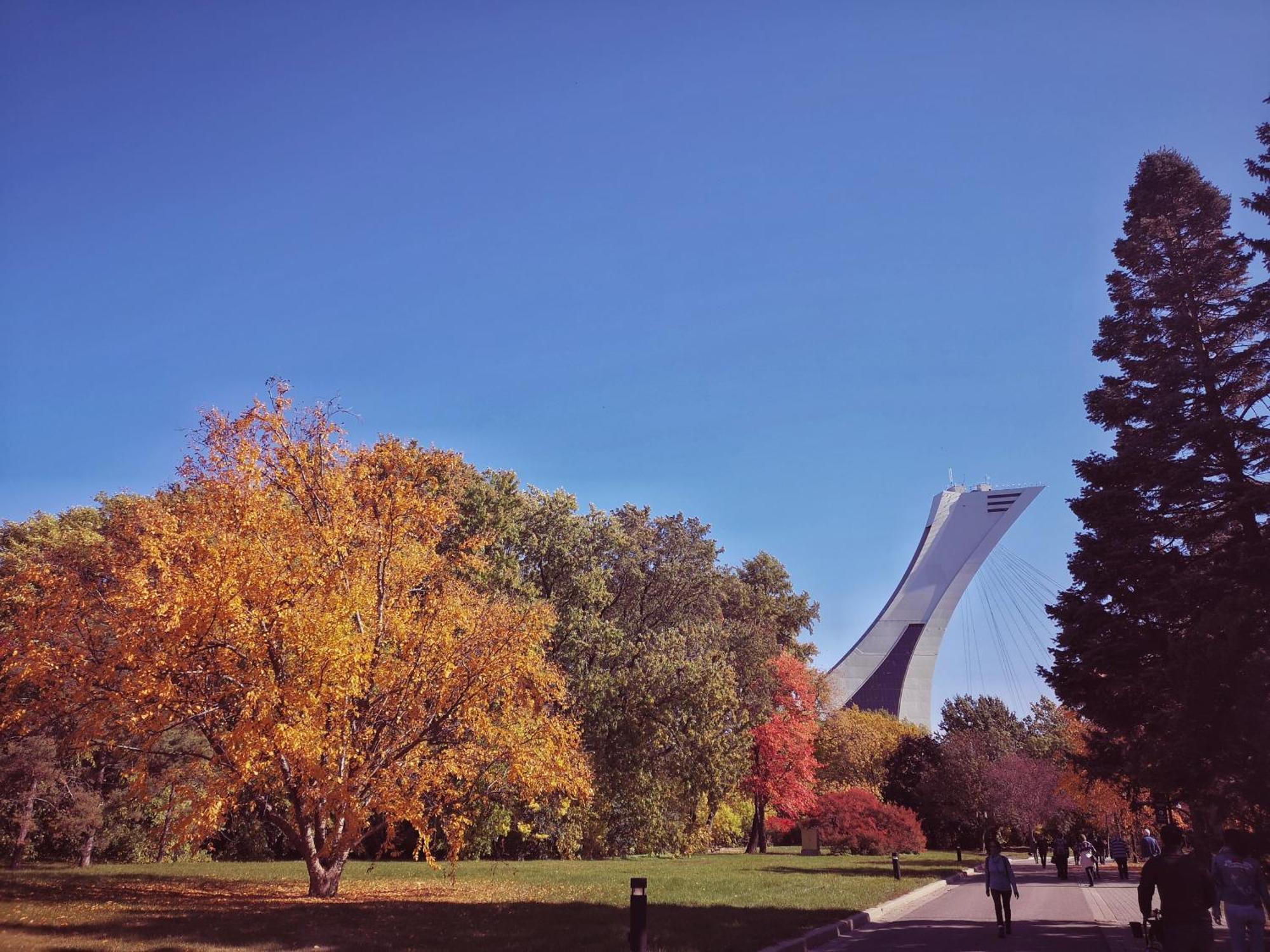Homa Homestay Hotel By Olympic Stadium Montreal Auberge-Hostel Exteriör bild